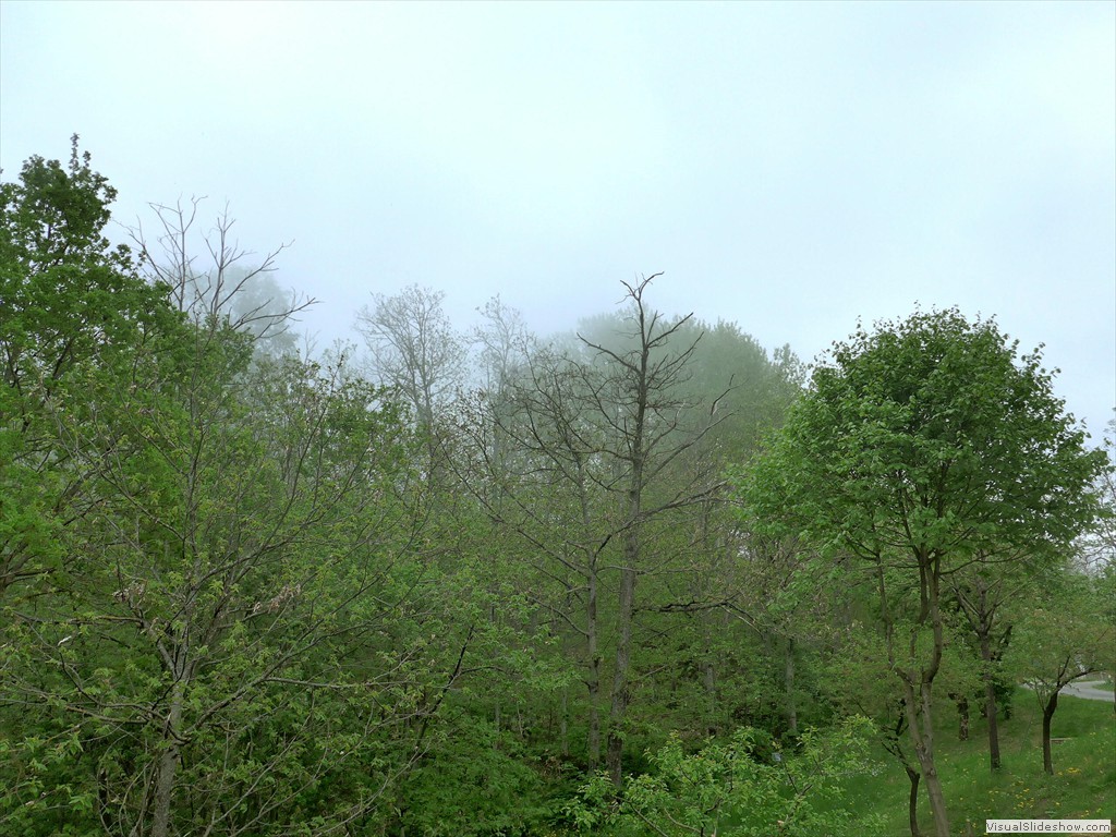 P1040640