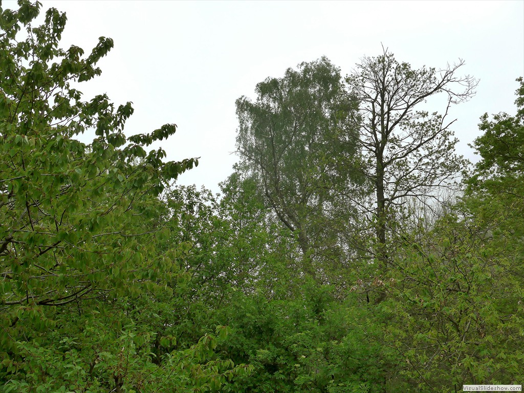P1040641