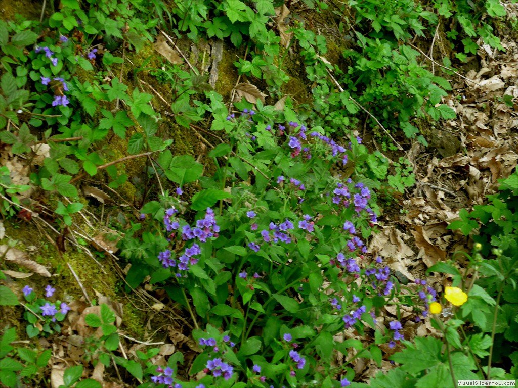 P1040647
