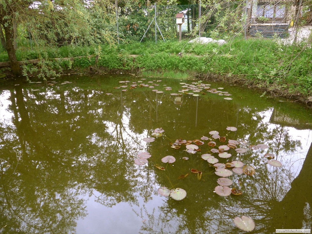 P1040662