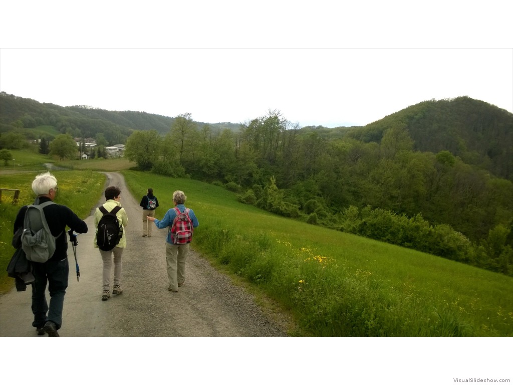 WP_20150506_13_32_34_Pro