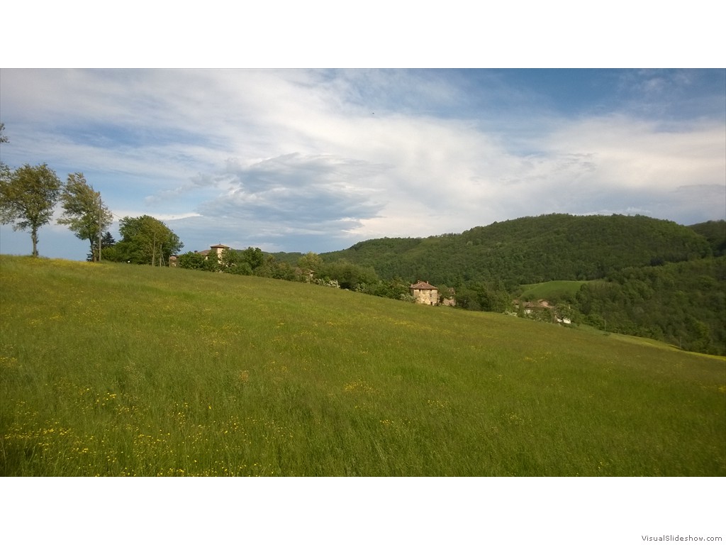 WP_20150506_15_56_36_Pro