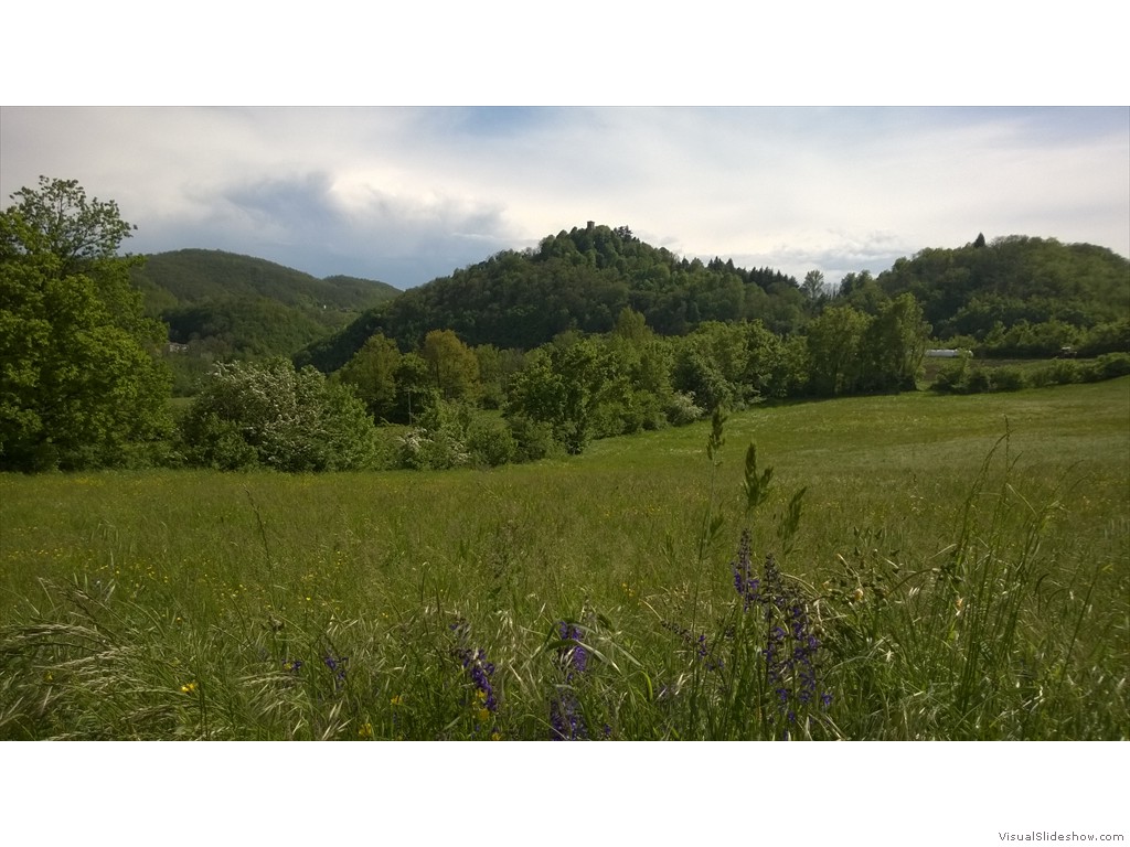 WP_20150506_16_00_22_Pro