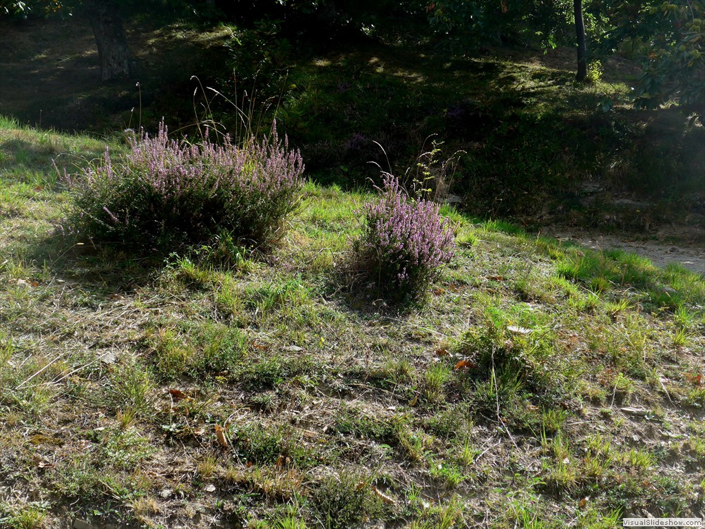 P1070713