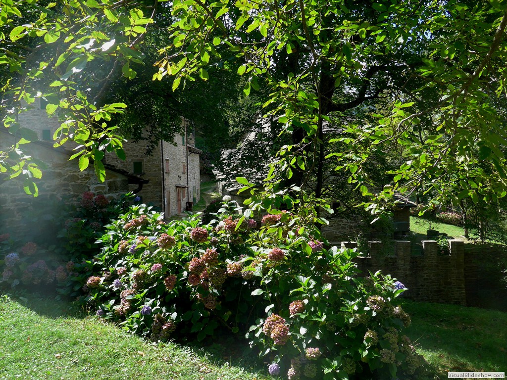 P1070715