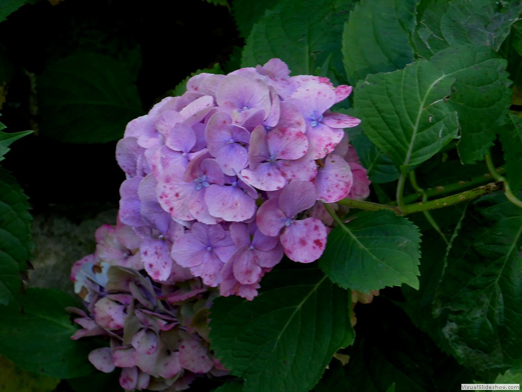 P1070721
