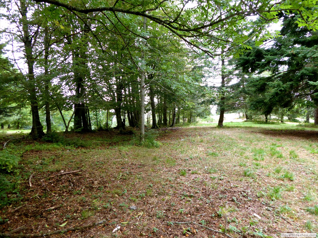 P1000764
