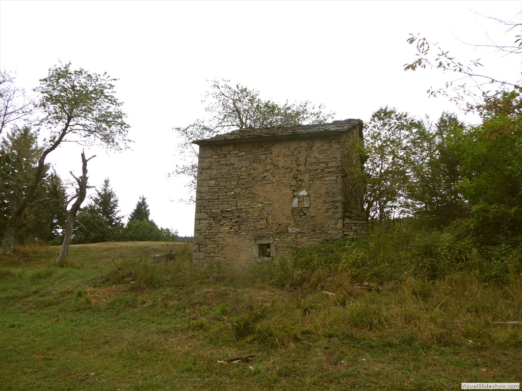 P1000766