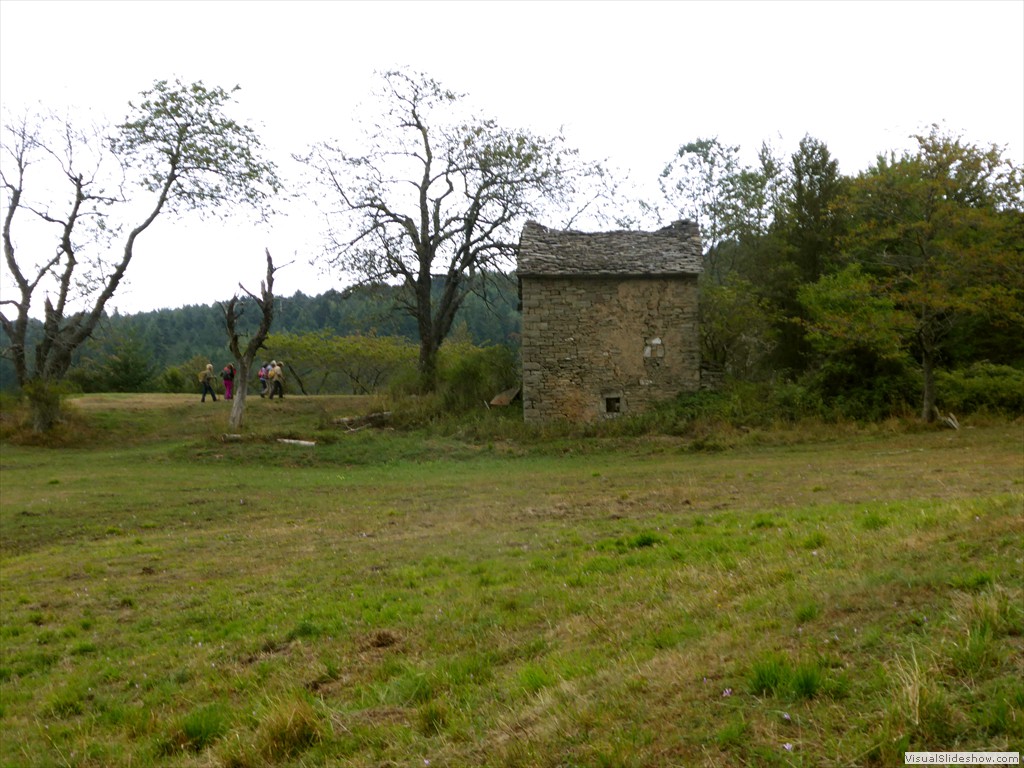 P1000769