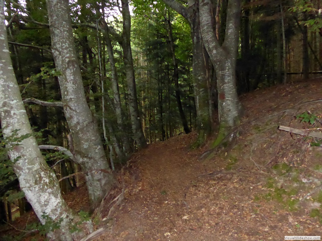 P1000776