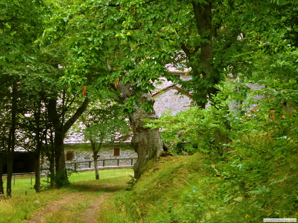 P1000777