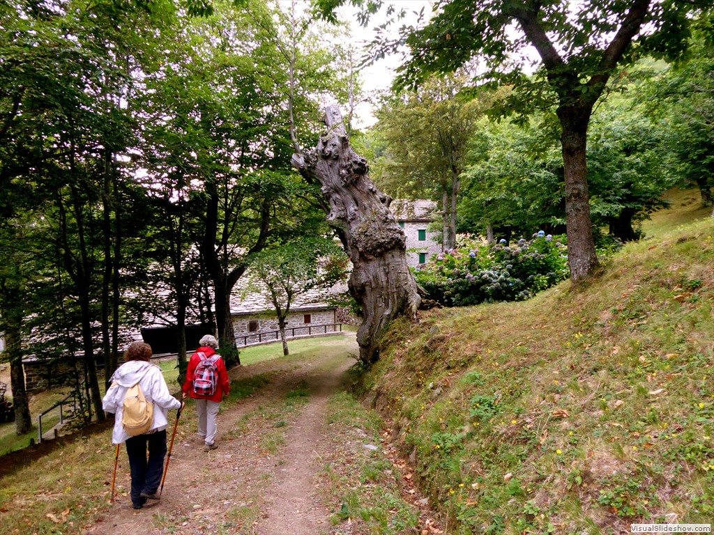 P1000778