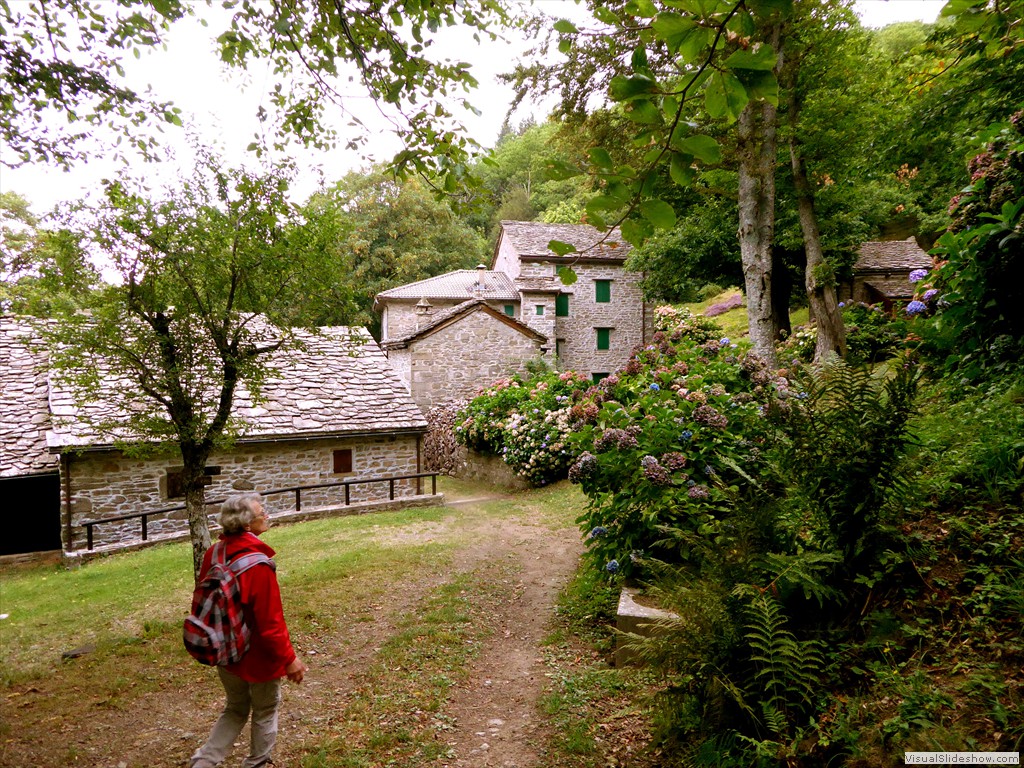 P1000779