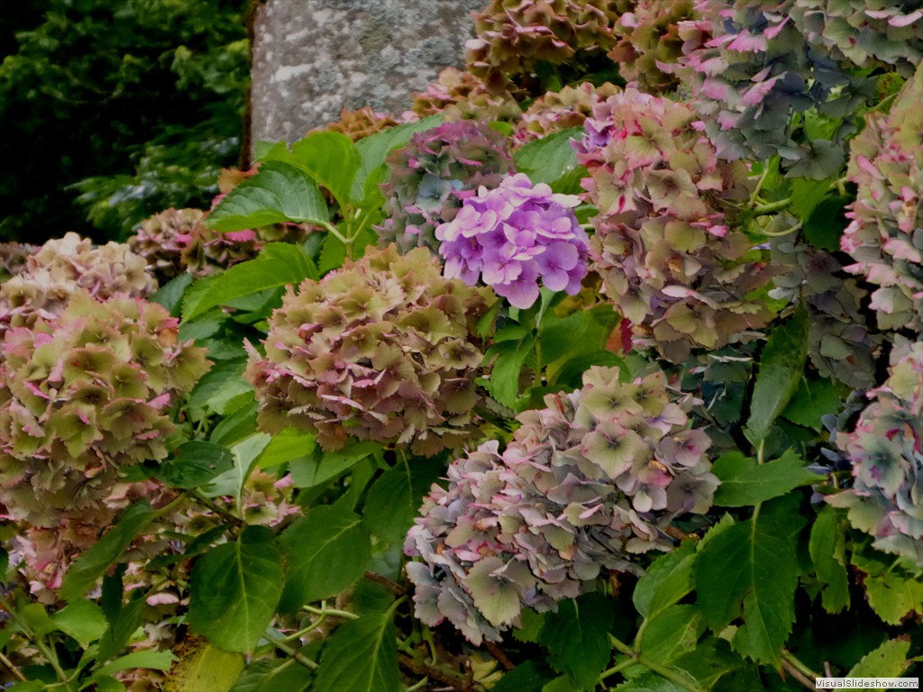 P1000781