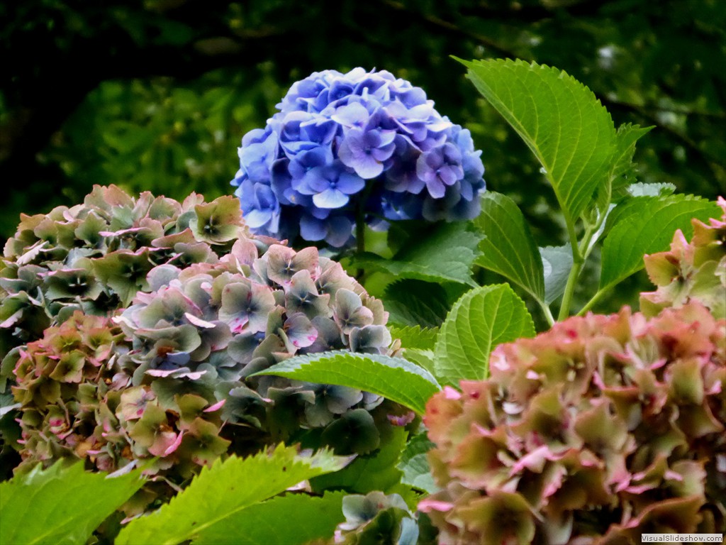 P1000782