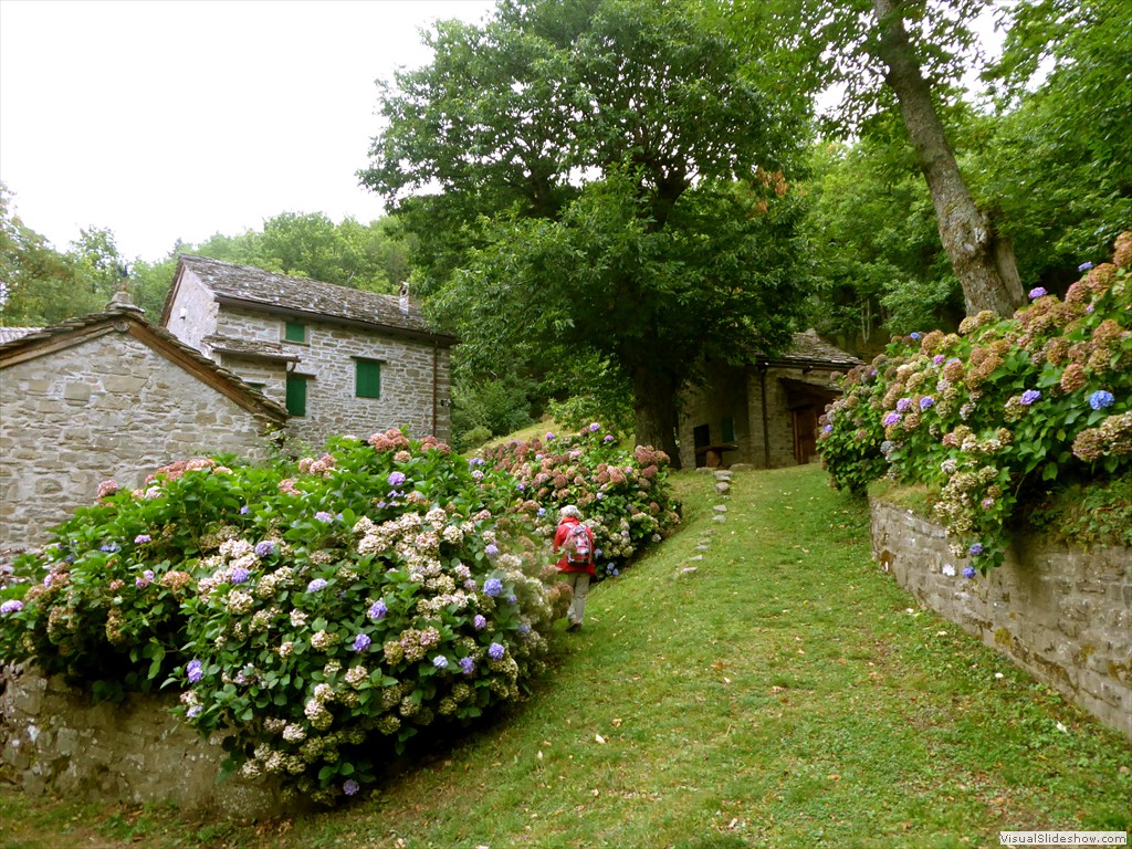 P1000783