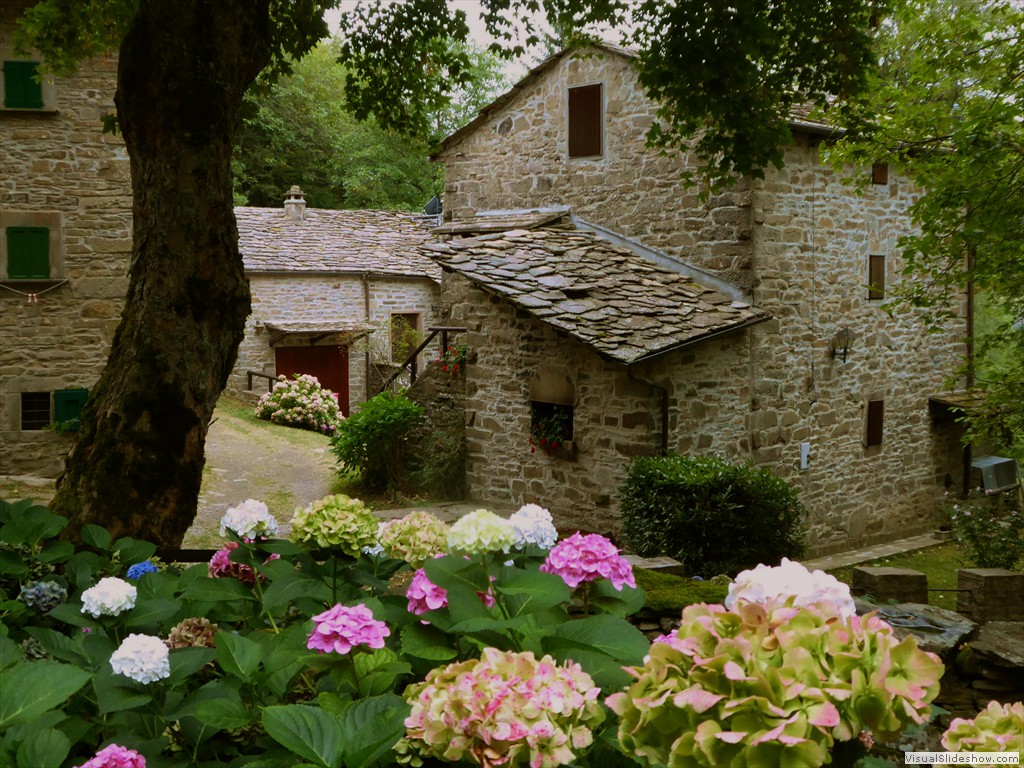 P1000797