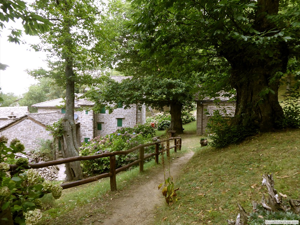 P1000801