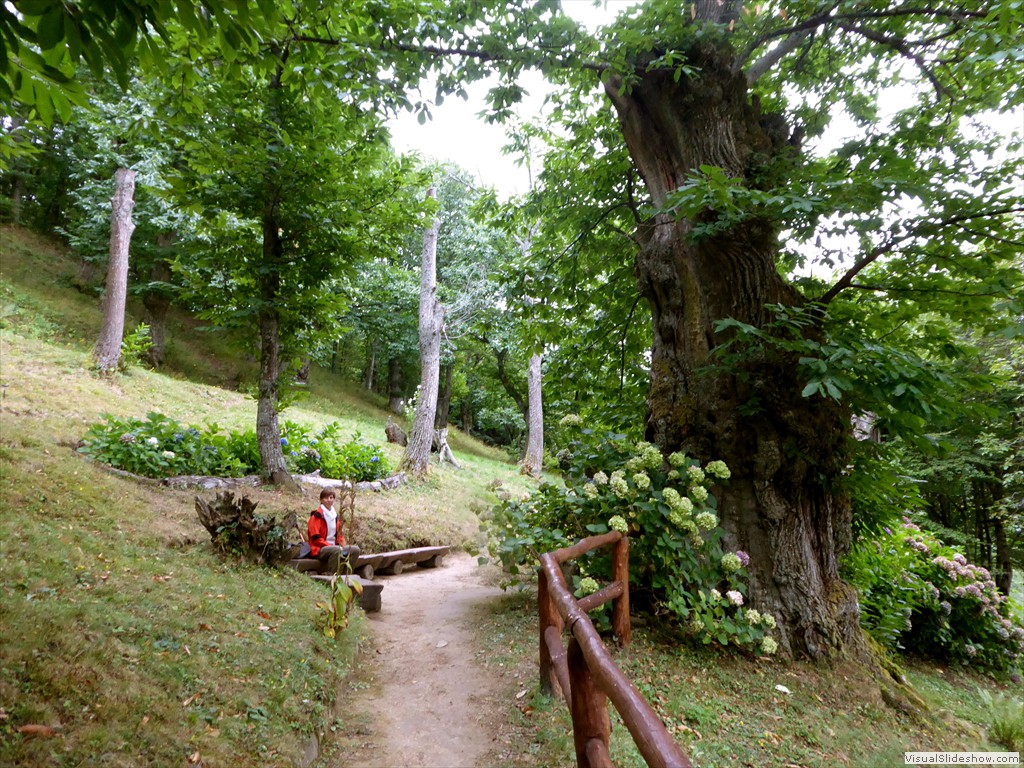 P1000803