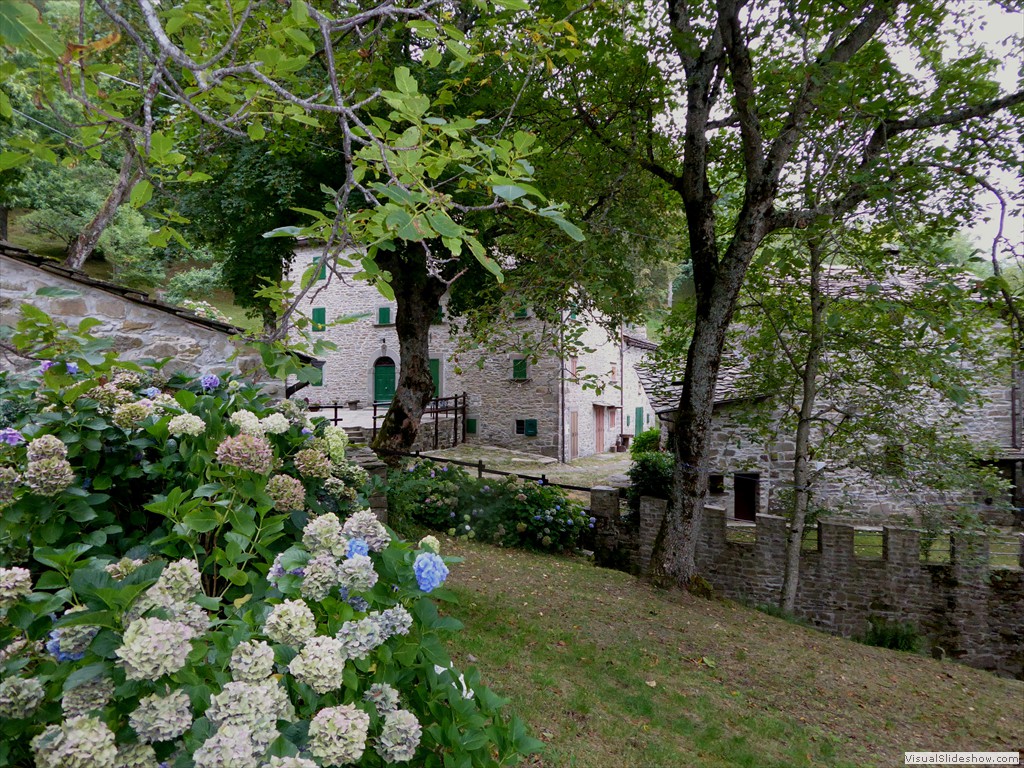 P1000806