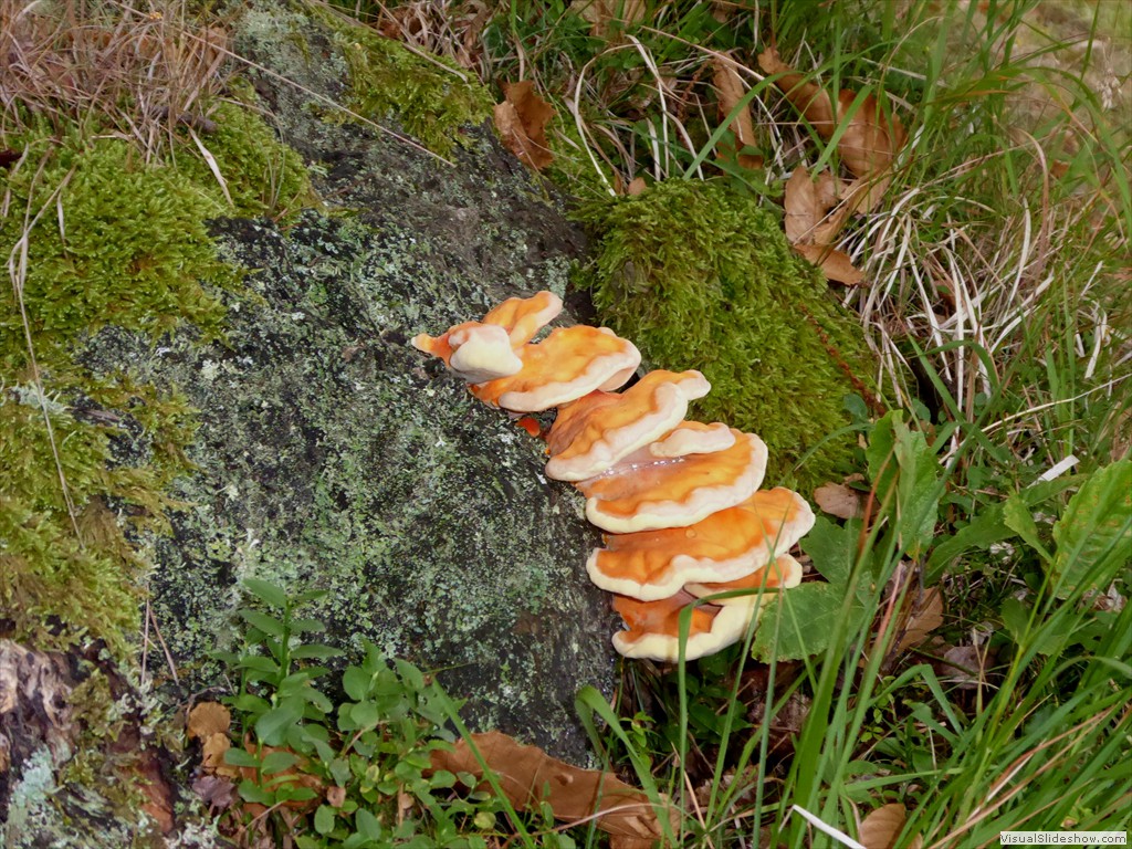 P1000808