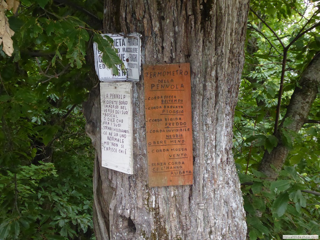 P1000816