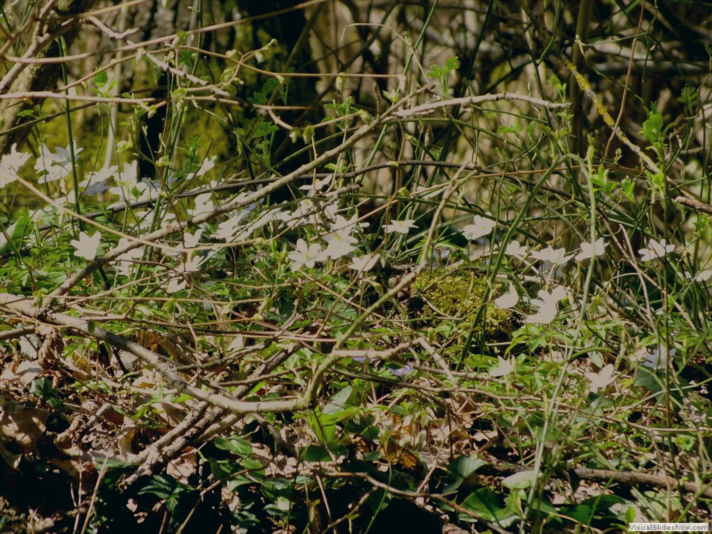 0227_2015_0401