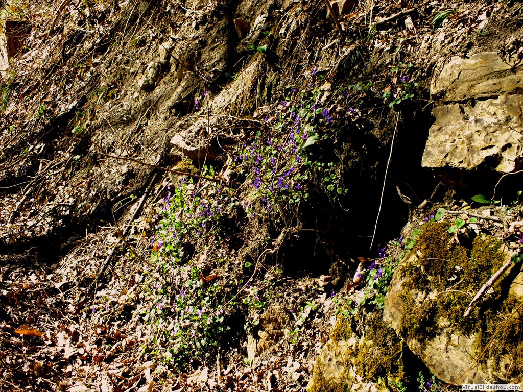 0229_2015_0401