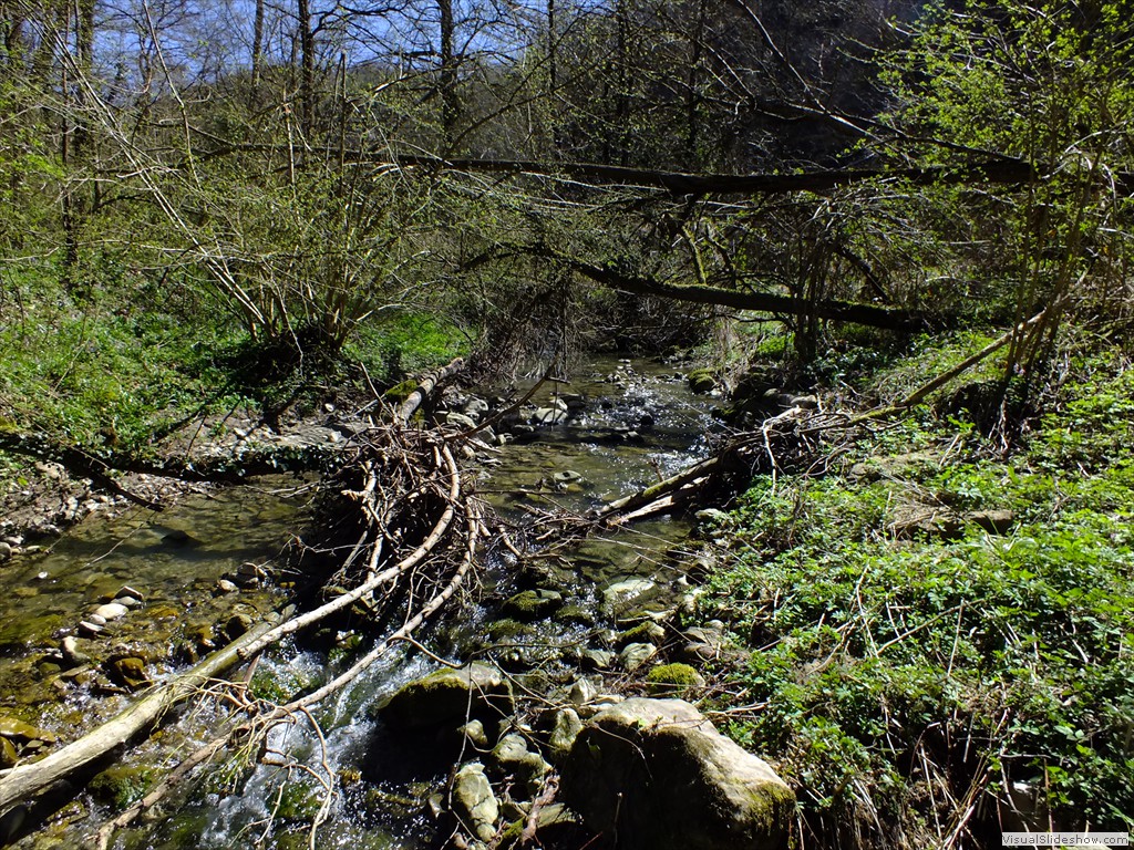 0288_2015_0401