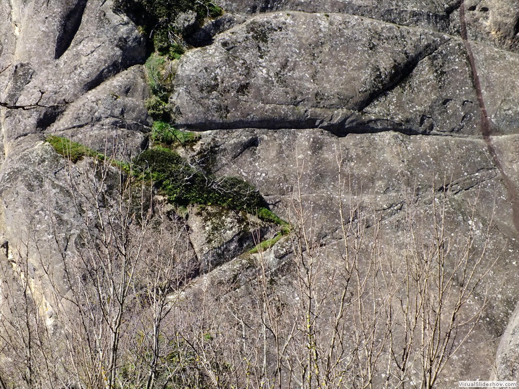 0322_2015_0401