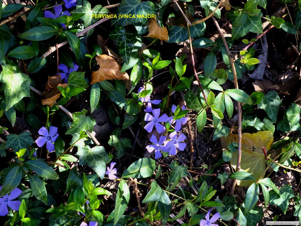 0329_2015_0401