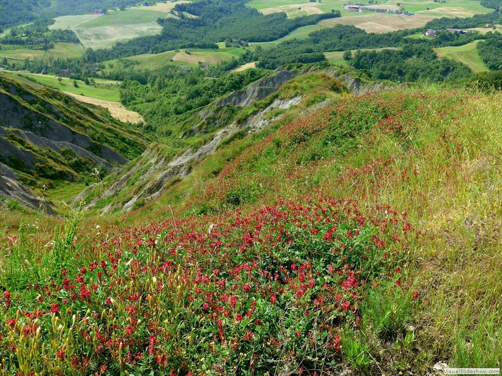 P1120876