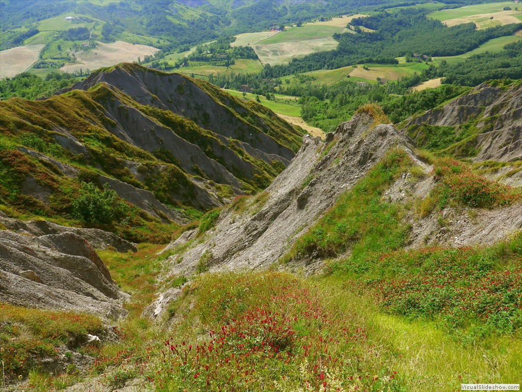 P1120891