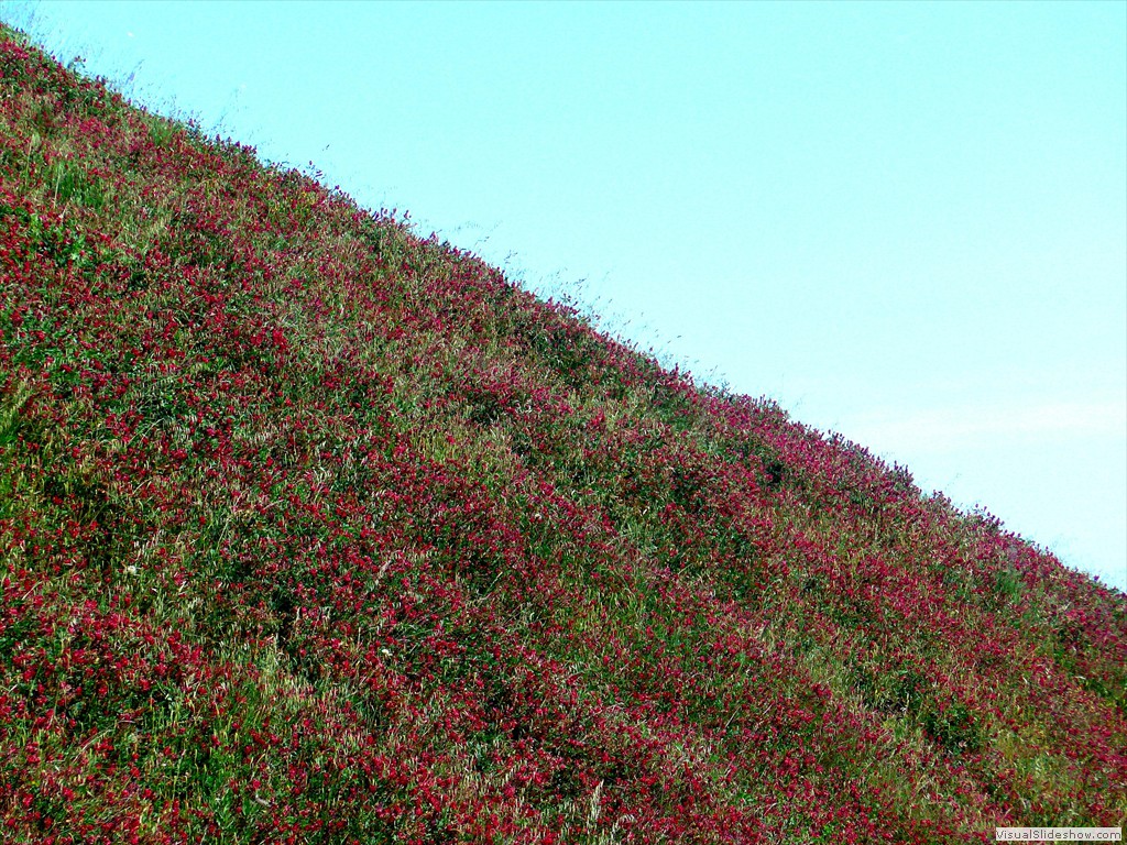 P1120892