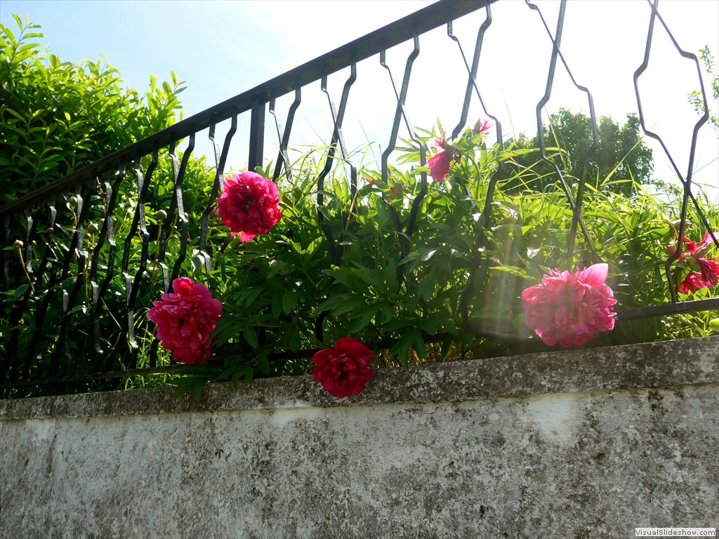 P1120898