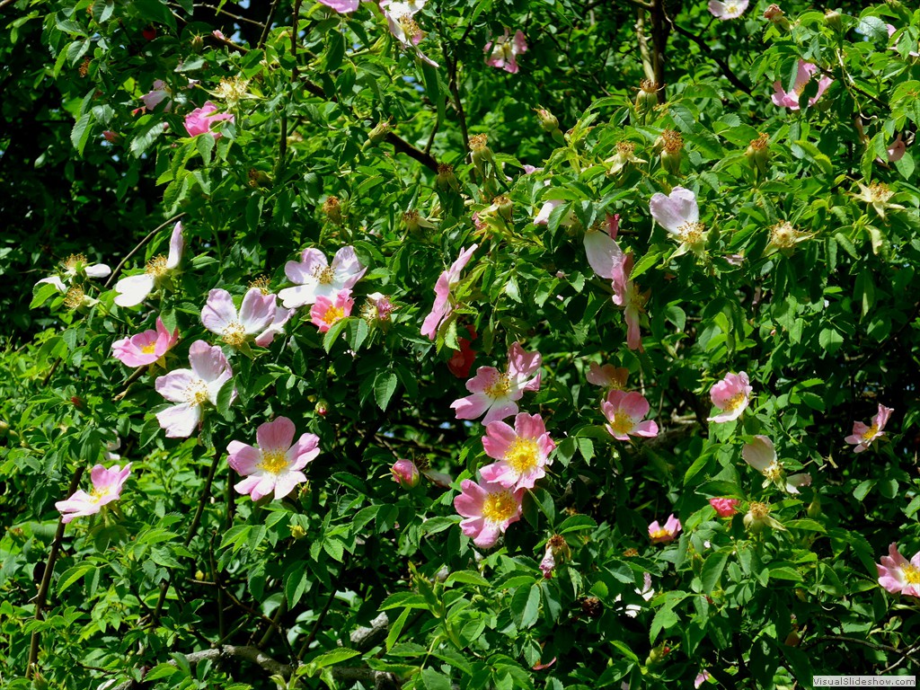 P1120916