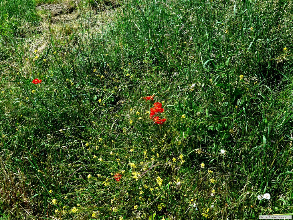 P1120917