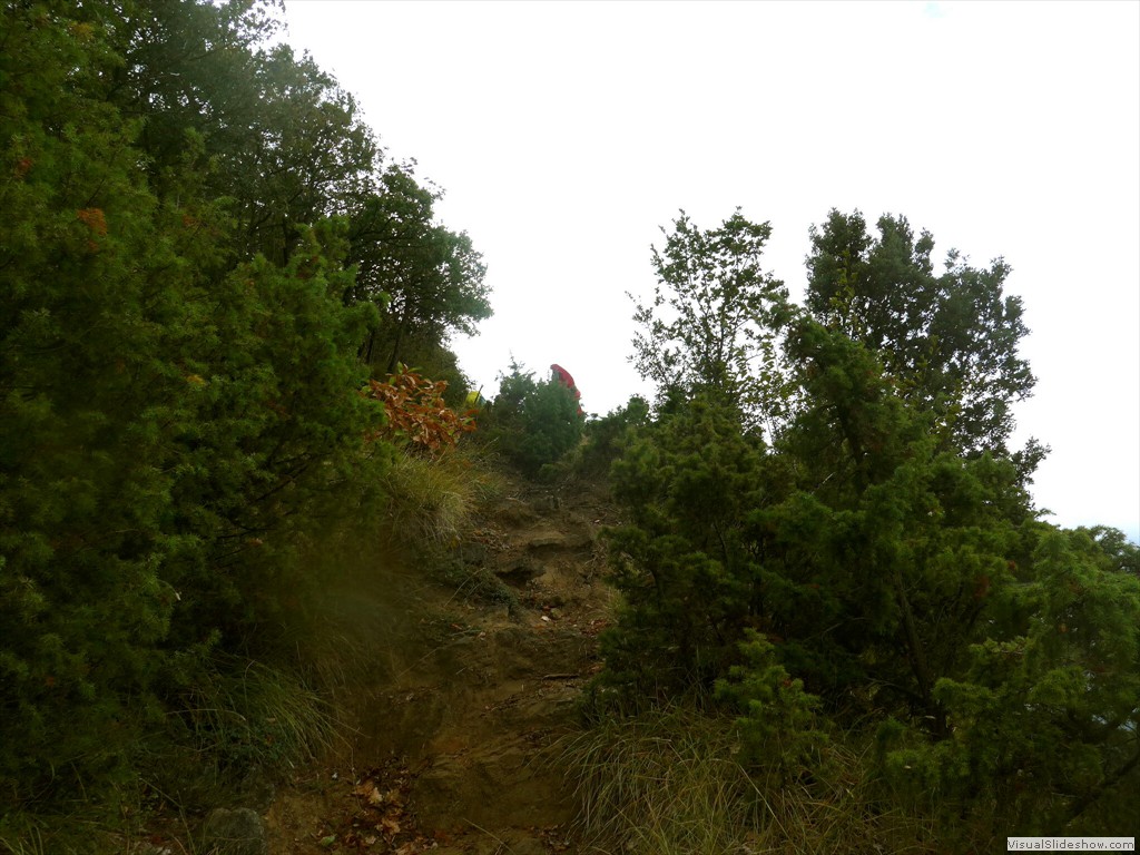 P1070789