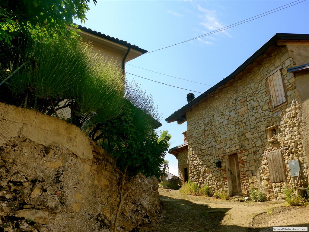 P1130492