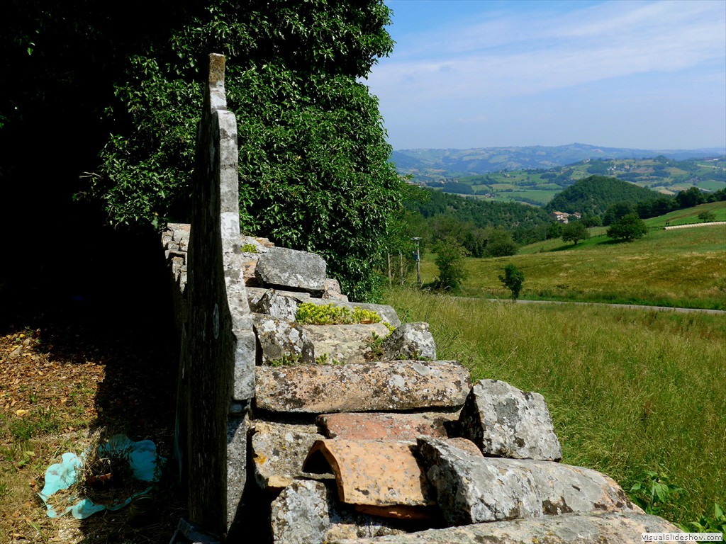 P1130520