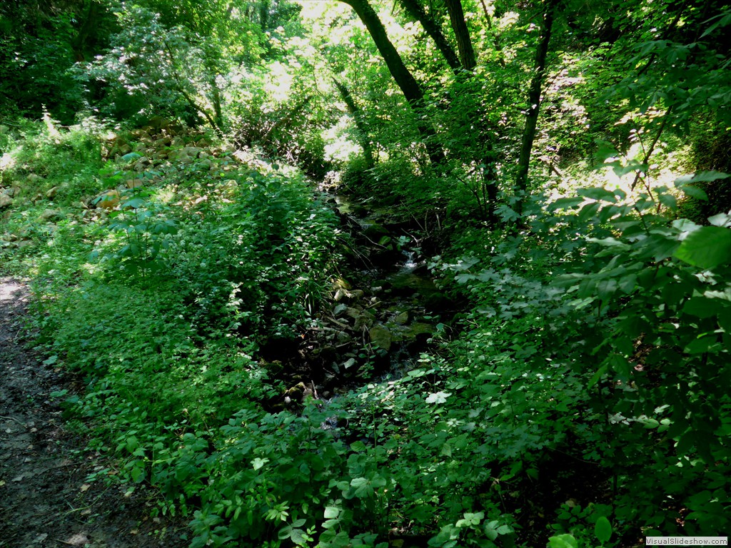 P1130535