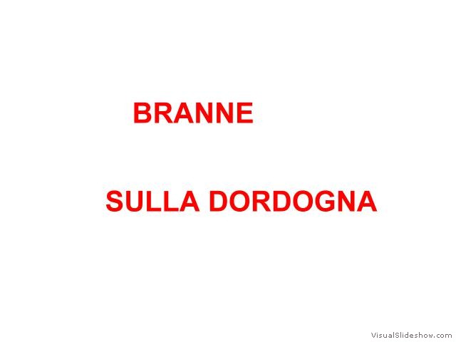 BRANNE TX