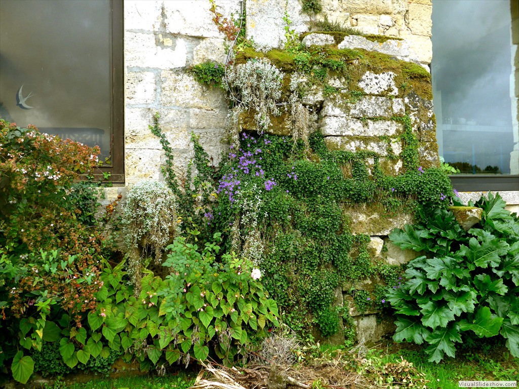 P1080250