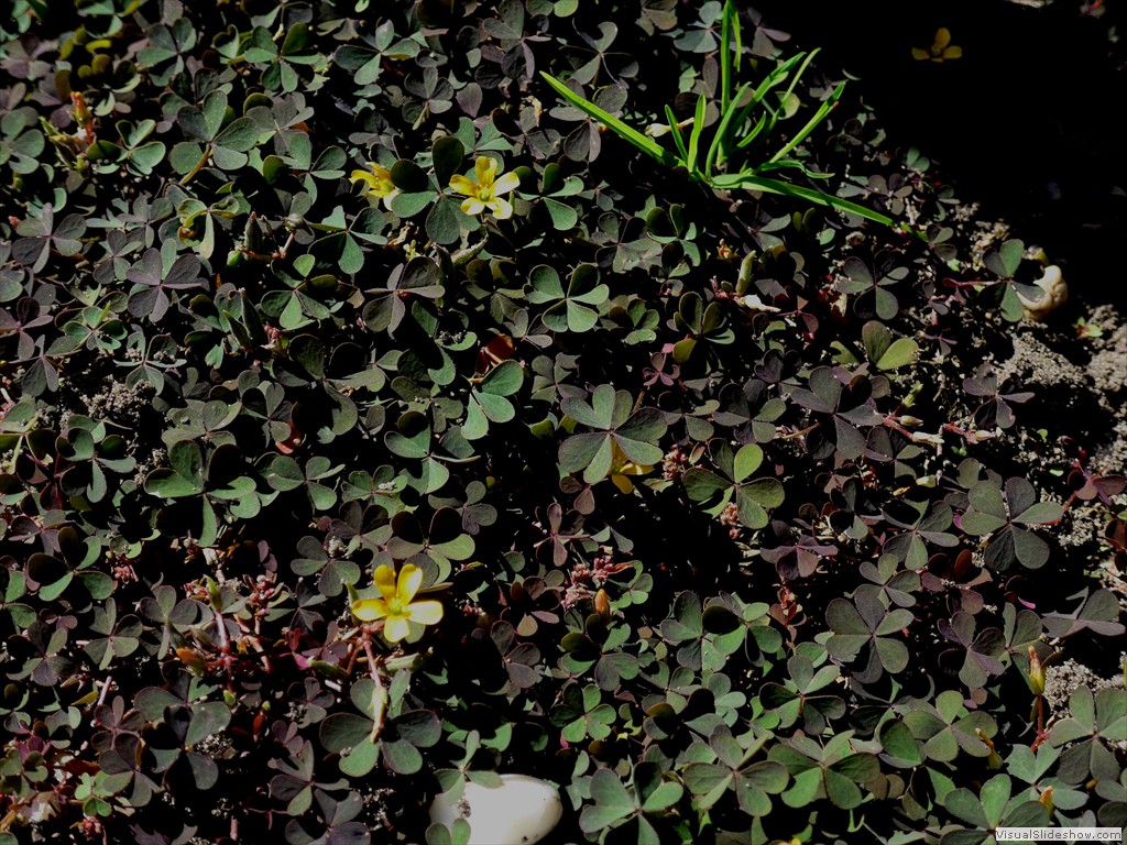 P1080320