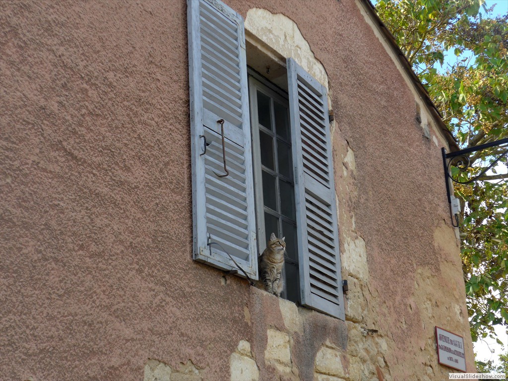 P1080366