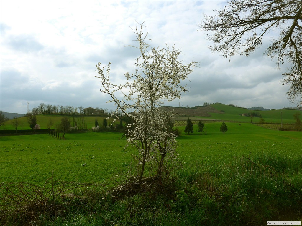 P1110431