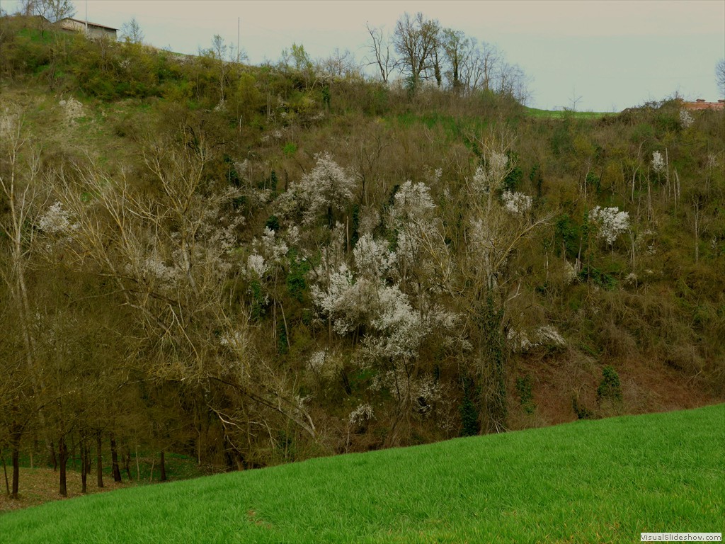 P1110435