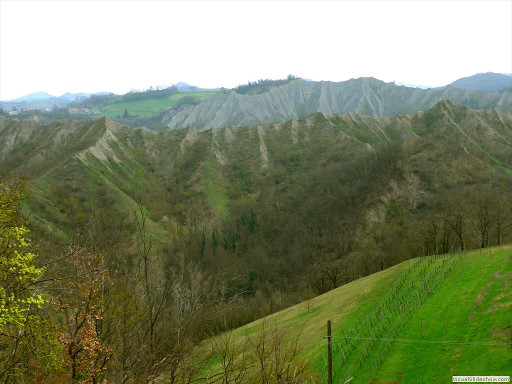 P1110449