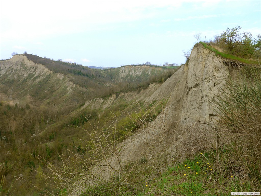 P1110455