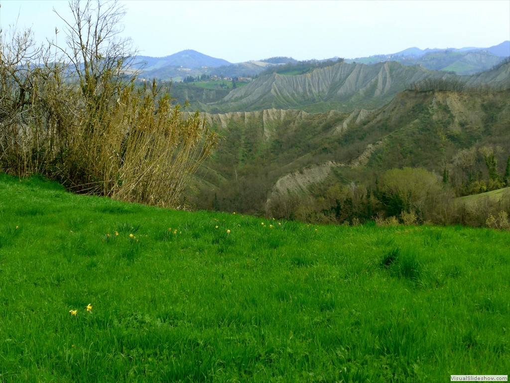 P1110462